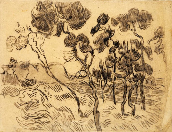  文森特·威廉·梵高  Vincent Willen Van Gogh —— 松树 (2)